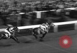 Image of Seabiscuit Maryland United States USA, 1938, second 39 stock footage video 65675043249