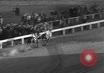Image of Seabiscuit Maryland United States USA, 1938, second 42 stock footage video 65675043249