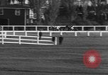 Image of Seabiscuit Maryland United States USA, 1938, second 48 stock footage video 65675043249