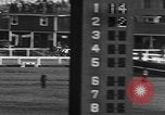 Image of Seabiscuit Maryland United States USA, 1938, second 50 stock footage video 65675043249