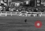 Image of Seabiscuit Maryland United States USA, 1938, second 57 stock footage video 65675043249