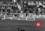 Image of Seabiscuit Maryland United States USA, 1938, second 58 stock footage video 65675043249