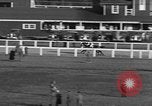 Image of Seabiscuit Maryland United States USA, 1938, second 60 stock footage video 65675043249