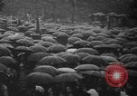 Standbild Unruhen in Tokio über den Vertrag von San Francisco Tokio Japan, 1952, aus Sekunde 4 historischem Filmmaterial Videoclip 65675043254
