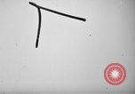 Image of Japanese students Tokyo Japan, 1953, second 55 stock footage video 65675043255