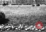 Image of Cavalry officers Pinerolo Italy, 1929, second 40 stock footage video 65675043265
