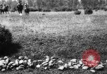 Image of Cavalry officers Pinerolo Italy, 1929, second 41 stock footage video 65675043265