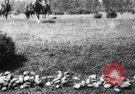 Image of Cavalry officers Pinerolo Italy, 1929, second 43 stock footage video 65675043265