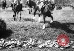 Image of Cavalry officers Pinerolo Italy, 1929, second 46 stock footage video 65675043265