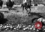 Image of Cavalry officers Pinerolo Italy, 1929, second 48 stock footage video 65675043265