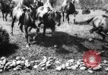 Image of Cavalry officers Pinerolo Italy, 1929, second 49 stock footage video 65675043265