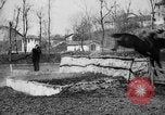 Immagine di Gli ufficiali di cavalleria Roma Italia, 1929, secondo 55 filmato di repertorio 65675043268