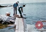Image États-Unis soldats United States USA, 1943, de la seconde 3 séquences d'archives historiques vidéo 65675043271