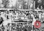Image of Corpo Celere Italy, 1929, second 14 stock footage video 65675043278