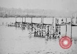 Image of Corpo Celere Italy, 1929, second 31 stock footage video 65675043278