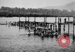 Image of Corpo Celere Italy, 1929, second 35 stock footage video 65675043278