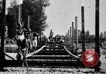 Image of Corpo Celere Italy, 1929, second 59 stock footage video 65675043278