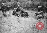 Image of Italian Infantry Italy, 1929, second 53 stock footage video 65675043280