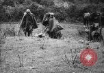 Image of Italian Infantry Italy, 1929, second 55 stock footage video 65675043280