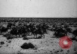 Image of African troops in Italian colony Italy, 1929, second 14 stock footage video 65675043282
