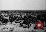 Image of African troops in Italian colony Italy, 1929, second 20 stock footage video 65675043282