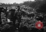 Image of African troops in Italian colony Italy, 1929, second 30 stock footage video 65675043282