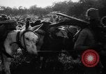 Image of African troops in Italian colony Italy, 1929, second 33 stock footage video 65675043282