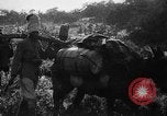 Image of African troops in Italian colony Italy, 1929, second 36 stock footage video 65675043282