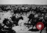 Image of African troops in Italian colony Italy, 1929, second 45 stock footage video 65675043282