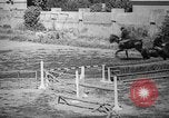 Image of The Corazzieri Italy, 1929, second 29 stock footage video 65675043284