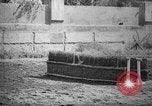 Image of The Corazzieri Italy, 1929, second 58 stock footage video 65675043284