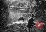 Image of The Corazzieri Italy, 1929, second 14 stock footage video 65675043285