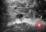 Image of The Corazzieri Italy, 1929, second 15 stock footage video 65675043285