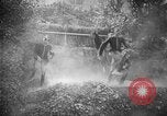 Image of The Corazzieri Italy, 1929, second 18 stock footage video 65675043285