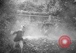 Image of The Corazzieri Italy, 1929, second 19 stock footage video 65675043285
