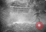 Image of The Corazzieri Italy, 1929, second 20 stock footage video 65675043285