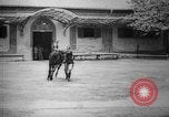 Image of The Corazzieri Italy, 1929, second 28 stock footage video 65675043285