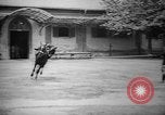 Image of The Corazzieri Italy, 1929, second 37 stock footage video 65675043285