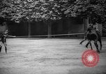 Image of The Corazzieri Italy, 1929, second 40 stock footage video 65675043285