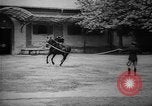 Image of The Corazzieri Italy, 1929, second 44 stock footage video 65675043285