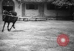 Image of The Corazzieri Italy, 1929, second 57 stock footage video 65675043285