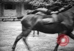 Image of The Corazzieri Italy, 1929, second 60 stock footage video 65675043285