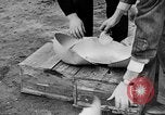 Image of United States Army Air Force target practice Italy, 1945, second 35 stock footage video 65675043288