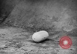 Image of United States Army Air Force target practice Italy, 1945, second 40 stock footage video 65675043288