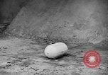 Image of United States Army Air Force target practice Italy, 1945, second 41 stock footage video 65675043288