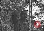 Image of Chinese engineers build Ledo road Burma, 1944, second 21 stock footage video 65675043289