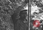 Image of Chinese engineers build Ledo road Burma, 1944, second 22 stock footage video 65675043289