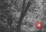 Image of Chinese engineers build Ledo road Burma, 1944, second 25 stock footage video 65675043289