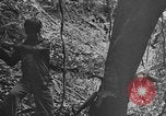Image of Chinese engineers build Ledo road Burma, 1944, second 27 stock footage video 65675043289