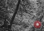 Image of Chinese engineers build Ledo road Burma, 1944, second 30 stock footage video 65675043289
